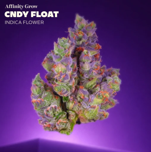 AFFINITY - Cndy Float Flower I 01080 Main Image
