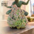 Product Preview Image 1