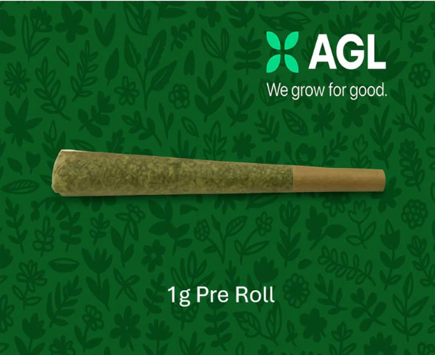 AGL - AGL 1g Pre Roll Jack's Delight x Lemon Fresh (S) 01741 Main Image