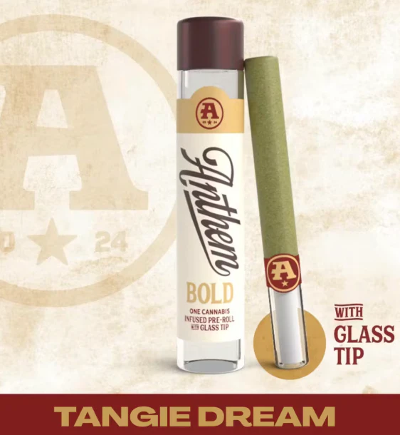 Anthem - Anthem Bold | Tangie Dream | Glass Tip Infused | 1g Preroll Main Image