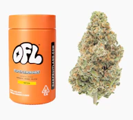 Oakfruitland 14g Jar Bigs Super Lemon Haze (S)
