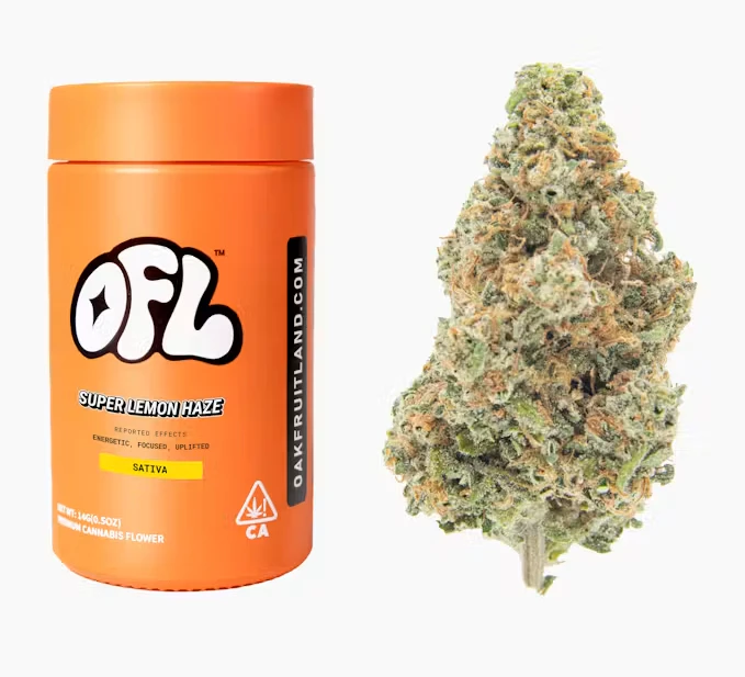 Oakfruitland (OFL) - Oakfruitland 14g Jar Bigs Super Lemon Haze (S) Main Image