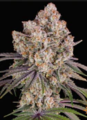 3.5g Ice Cream Cake - Indica Dom Hybrid