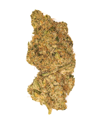 West Coast Cure - West Coast Cure - Flower - Budder Cake - 28G Main Image