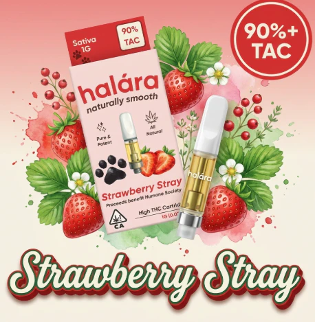 Halara - HALARA | STRAWBERRY STRAY - 510 THREAD | CARTRIDGE | 1G Main Image