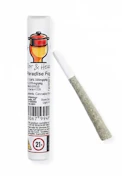 Paradise Fog 1g Preroll - Hybrid | Pot & Head