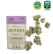 Purple Stardawg - 14g Flower