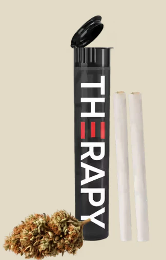 THERAPY - Therapy - Double Grape -.5g - 2pk Prerolls Main Image