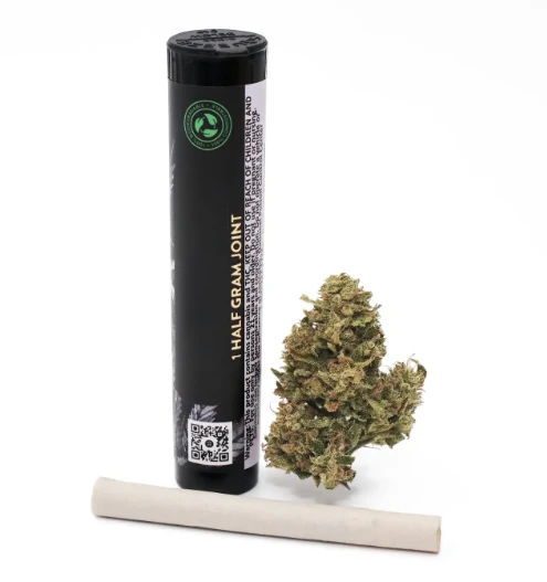 Alchemy Pure - Cosmic Kush - 0.5G Preroll Main Image