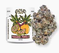 Claybourne 3.5G Paradise Pomelo Gold Cuts Indoor Flower