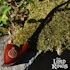 Product Preview Image 2