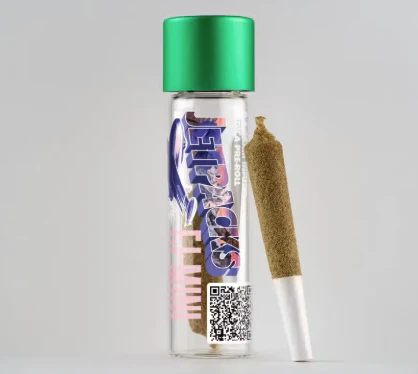 Jetpacks - Jetpacks | Northern Lights | Big Bang Mini | indica Main Image