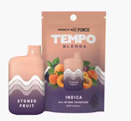 TEMPO 1G AIO Stoned Fruit Disposable