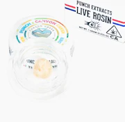 PUNCH 1G Mango Runtz TIER 1 Cold Cure Rosin Badder