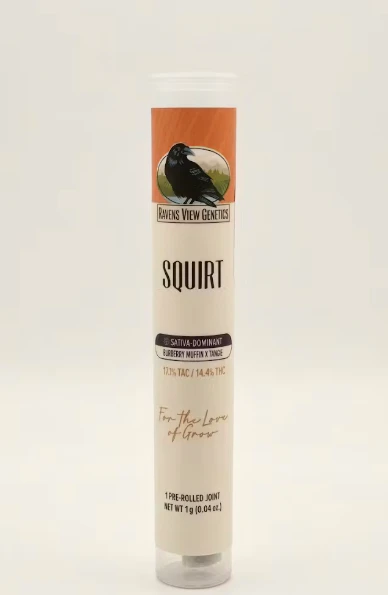 Ravens View - Ravens View- Squirt- 1g Preroll Main Image
