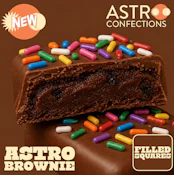 Astro Brownie Batter Squares 0153