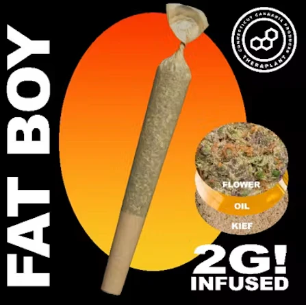 Theraplant - Colorado Haze 2g Fatboy 42164 Main Image