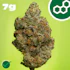 Product Preview Image 1