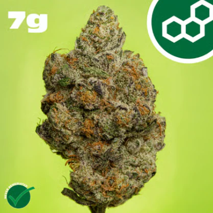 Theraplant - Carbon FBR 7g 42107 Main Image