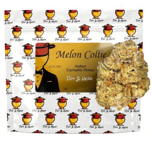 Pot & Head - Pot & Head | Flower | Mellon Collie | 28G Main Image