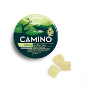 SPARKLING PEAR SOCIAL GUMMIES - CAMINO - 2mg