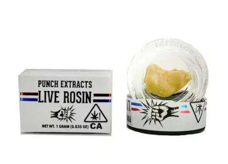 PUNCH - PUNCH | FORBIDDEN MUFFINS TIER 4 ROSIN | EXTRACT | 1G Main Image
