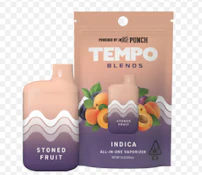 TEMPO | STONED FRUIT - AIO | CARTRIDGE | 1G