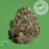 Product Preview Image 1