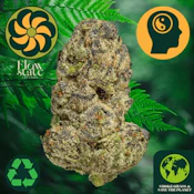 Flow State Cinnamon Toast Rntz 42208
