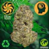 Product Preview Image 1