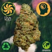 Flow State Lemon Shiv 42198