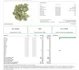 Product Preview Image 3