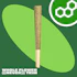 Product Preview Image 1