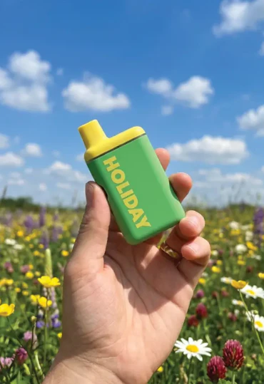 HOLIDAY - Holiday | Vape Pens | AIO | Day Trip | 1G Main Image