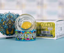 BEAR LABS 1G Gas Plant TIER 4 BHO Budder
