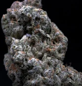 MilkWeed | Animal Face | 3.5G