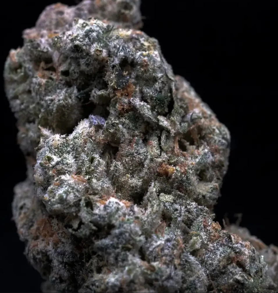 Milkweed - MilkWeed | Animal Face | 3.5G Main Image