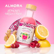 Pink Jesus Lemonade (Live Resin Infused) - 100mg - Almora