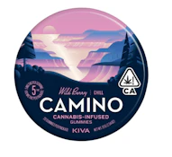 Camino - Wild Berry - Gummies - 20pk - 100mg