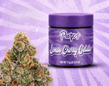 Purps | Flower | Lemon Cherry Gelato | 3.5g