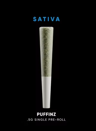 House of Sacci - Puffin Z 0.5g Preroll - Sativa | House of Sacci Main Image
