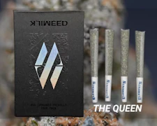 Milkweed - The Queen - 4pk 3G