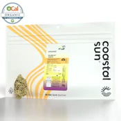Pinyatti - 28g (S) - Coastal Sun