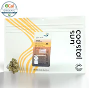 Pack Mule - 28g (I) - Coastal Sun