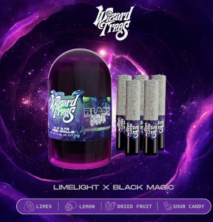 Wizard Trees - Wizard Trees | Pre-rolls | 5pk (0.7g) | Black Light | S | 3.5G Main Image