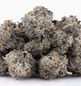 Lumpy's 3.5G Benanimals Indoor Flower