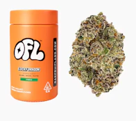OAKFRUITLAND 14g Jar Bigs Lucky Dragon (I)