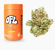 OAKFRUITLAND14g Jar Bigs Strawberry Cough (S)