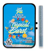 Seed Junky - Tropical Burst - Prerolls - 4pk - 4G