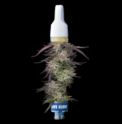 Tropidelic Live Resin Cart | 1g